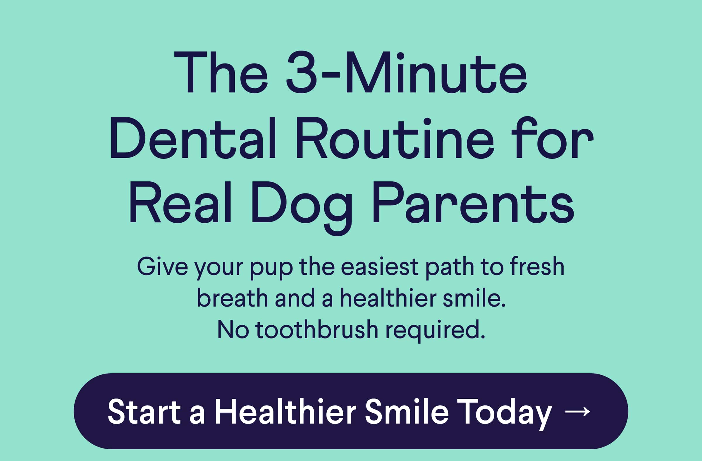 Text: The 3-Minute Dental Routine for Real Dog Parents  Give your pup the easiest path to fresh breath and a healthier smile. No toothbrush required.  CTA: Start a Healthier Smile Today →