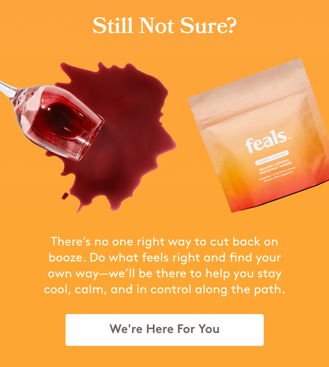 Still Not Sure? There’s no one right way to cut back on booze. Do what feels right and find your own way—we’ll be there to help you stay cool, calm, and in control along the path. [We're Here For You]