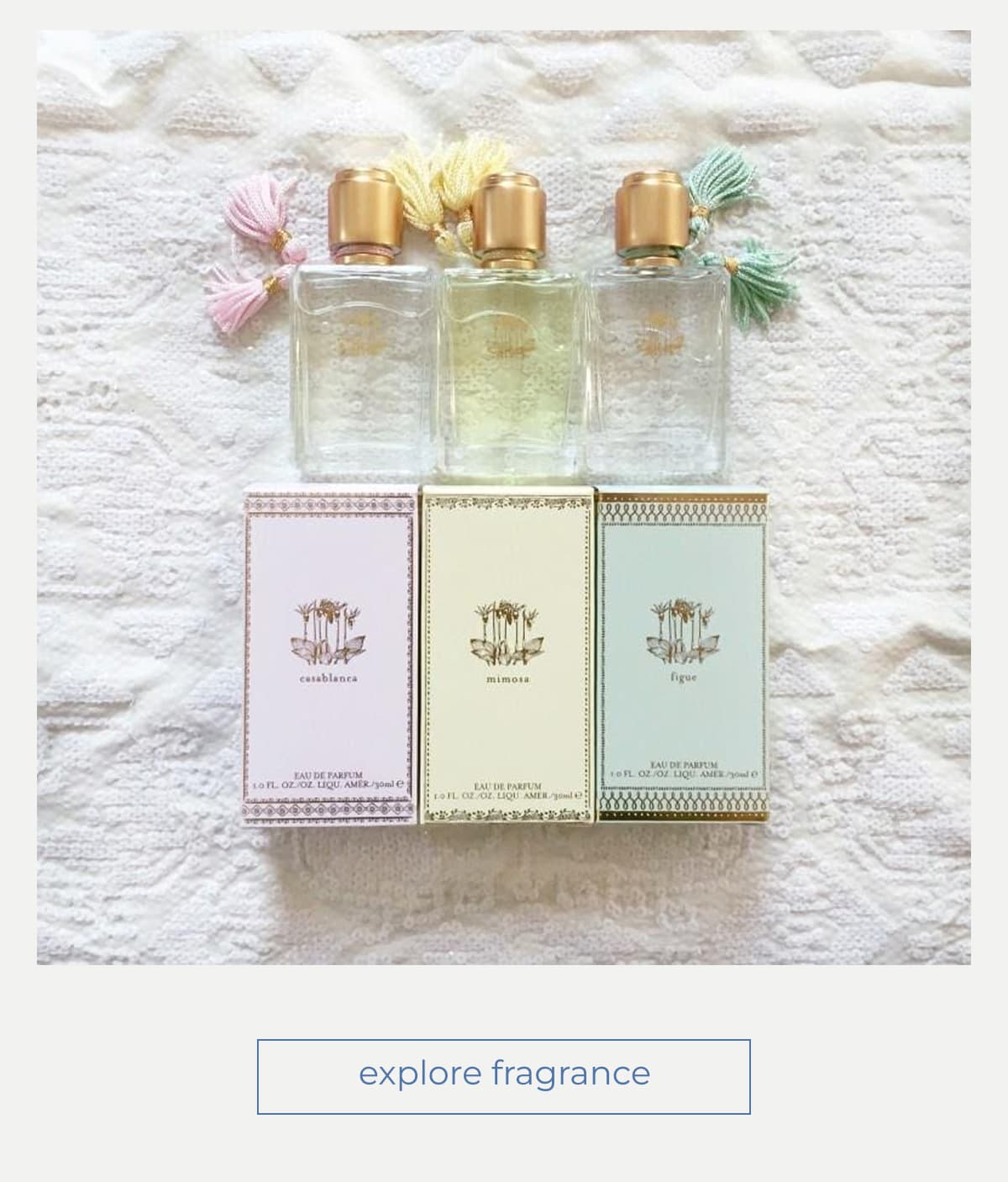 explore fragrance