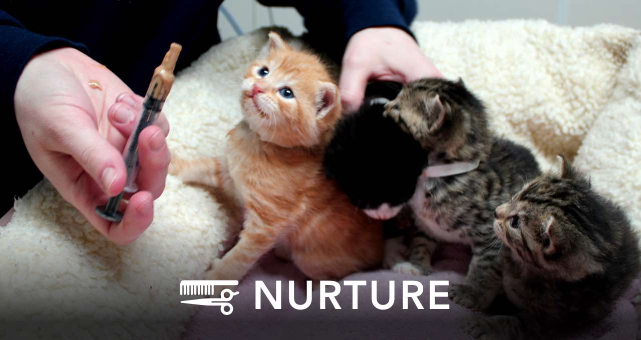 NURTURE