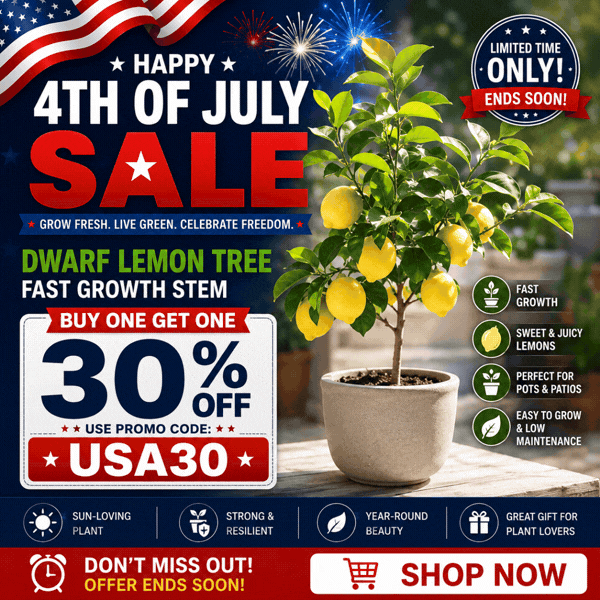The Mid-Year Markdowns Event! 15% OFF using CODE: MIDYEAR15