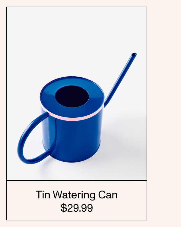 Tin Watering Can
