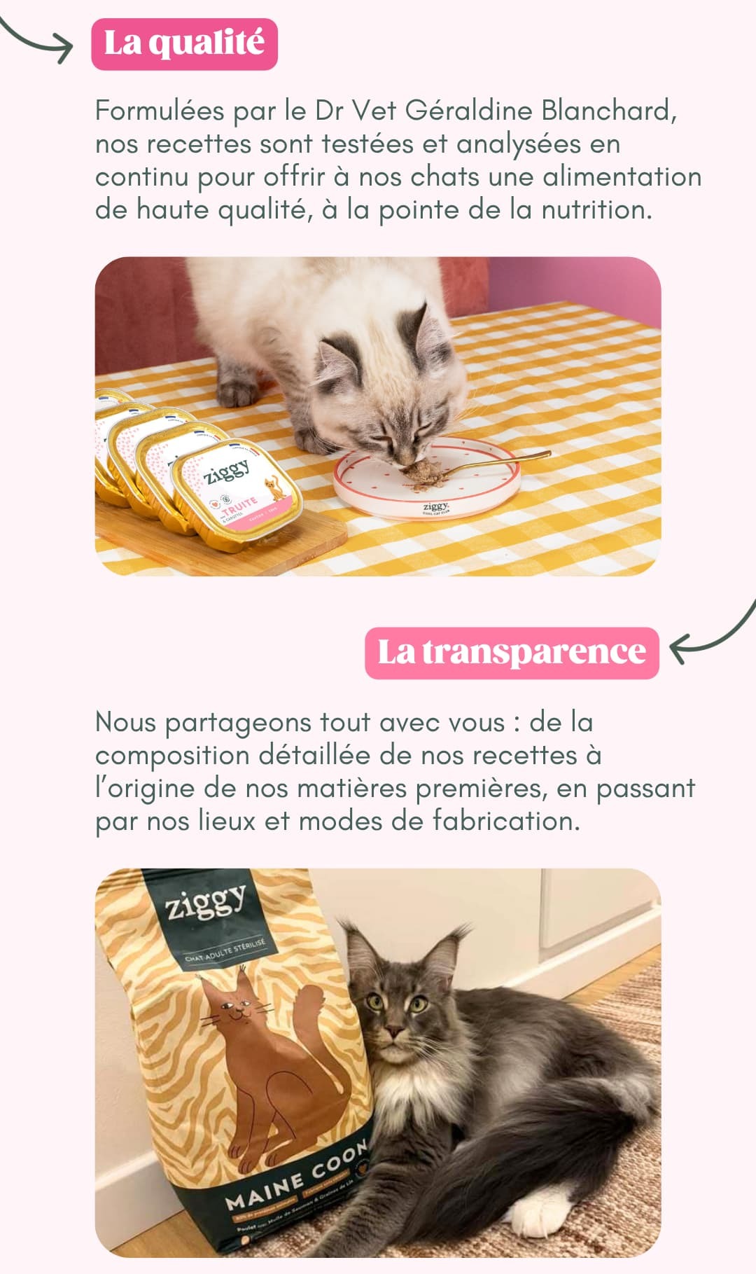 La qualité et la transparence chez Ziggy