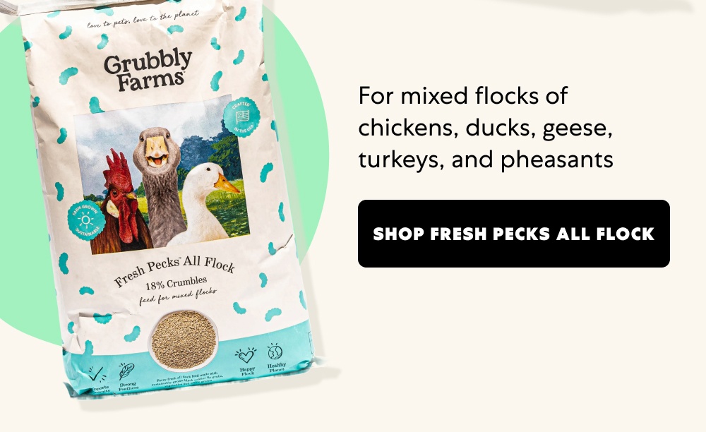 For mixed flocks of chickens, ducks, geese, turkeys, and pheasants&nbsp; Shop Fresh Pecks All Flock