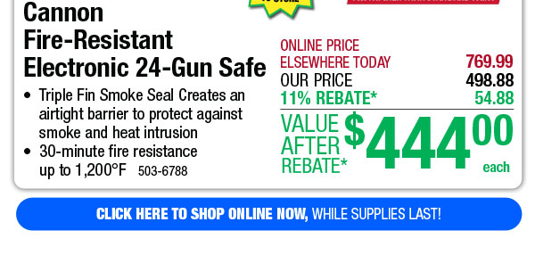 Cannon Fire-Resistant Electronic 24-Gun Safe - Free Shipping To Store!