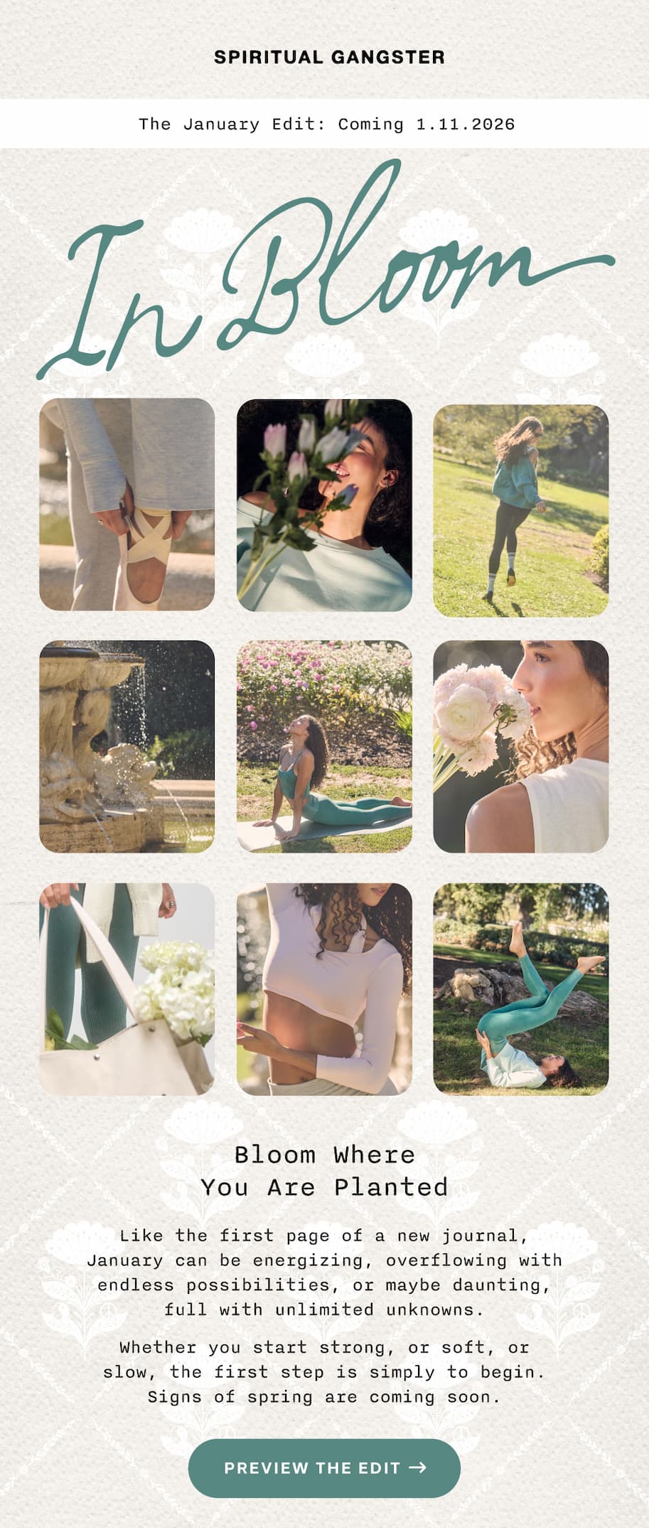 THE BLOOM EDIT- PREVIEW NOW