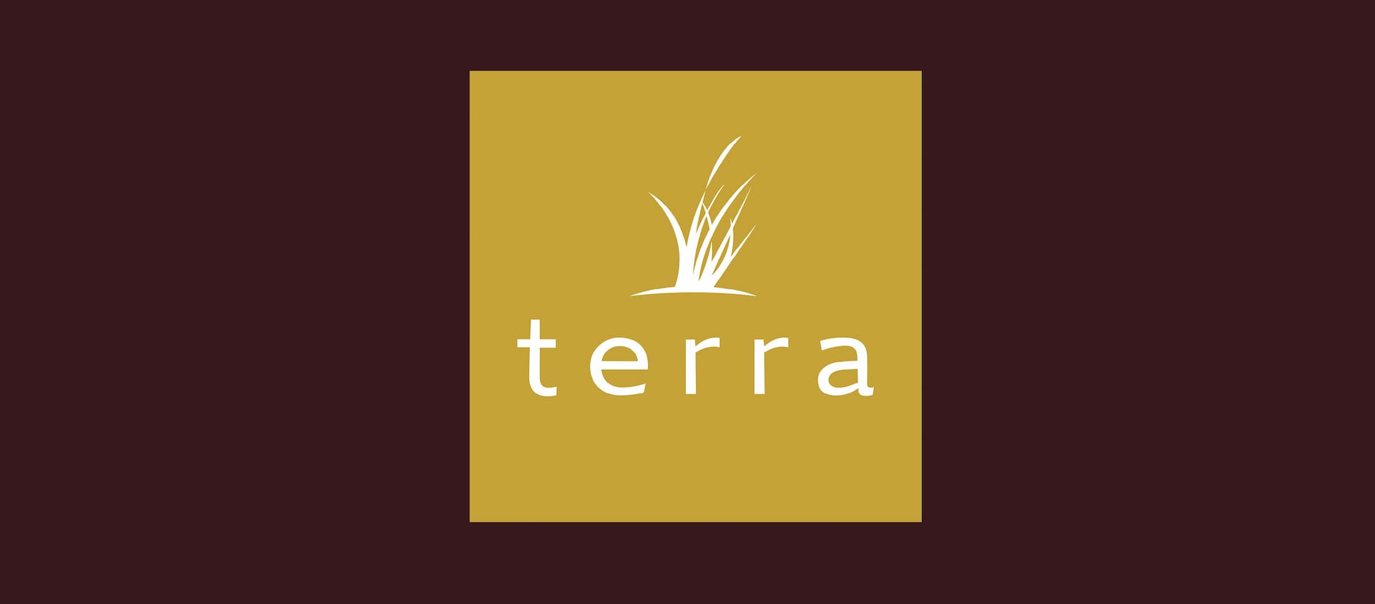 terra outdoor logo