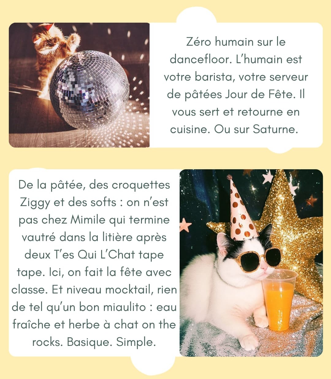 Les incontourmiaulables d'une fête réussie