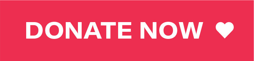 Donate Button