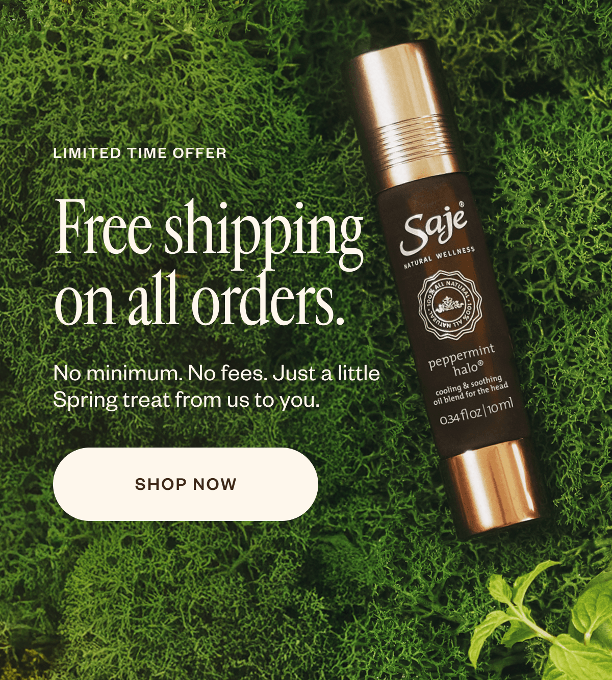 Saje Natural Wellness