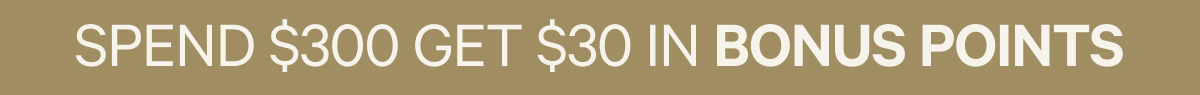 SPEND $300 GET $30 IN BONUS POINTS