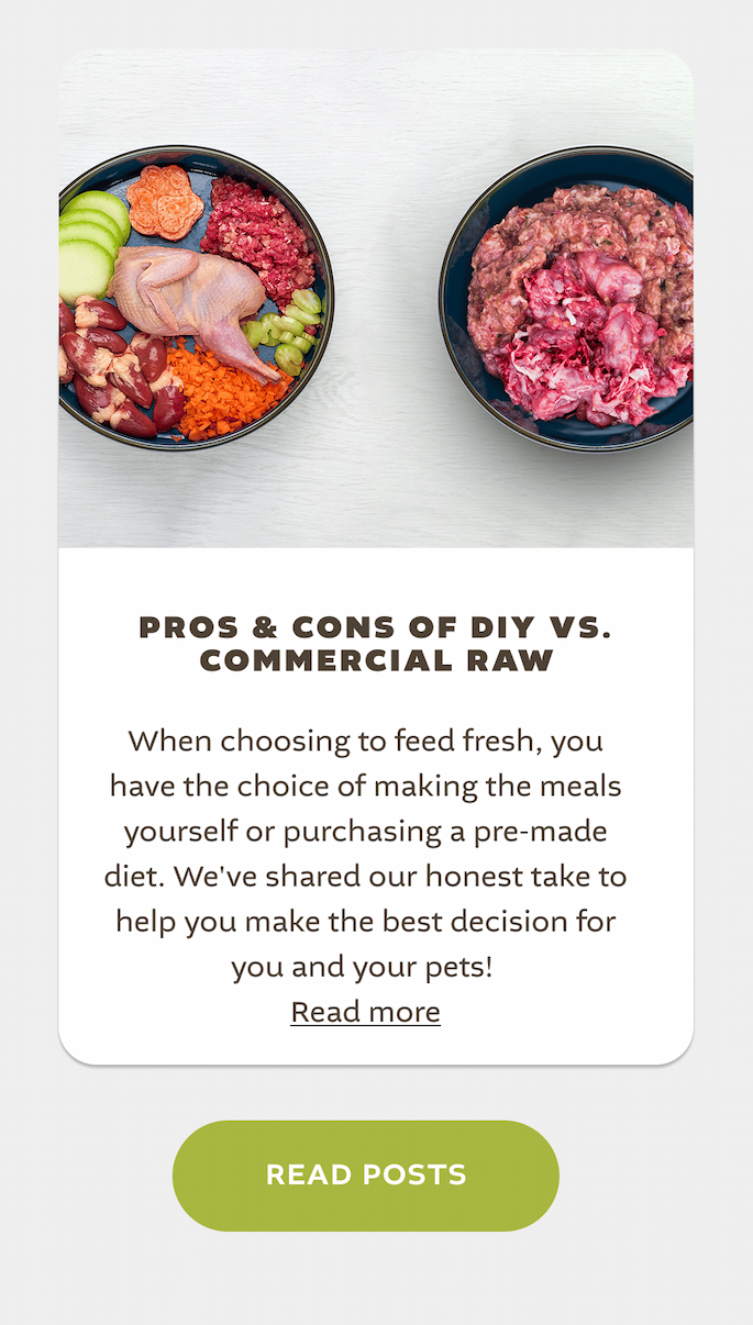 DIY and a commercial raw pet food bowl side by side
