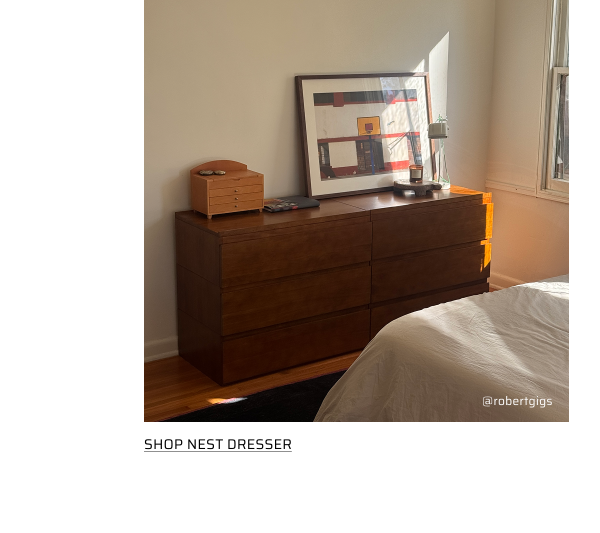 Shop Nest Dresser