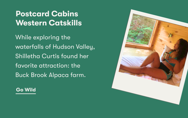 Postcard Cabins Western Catskills