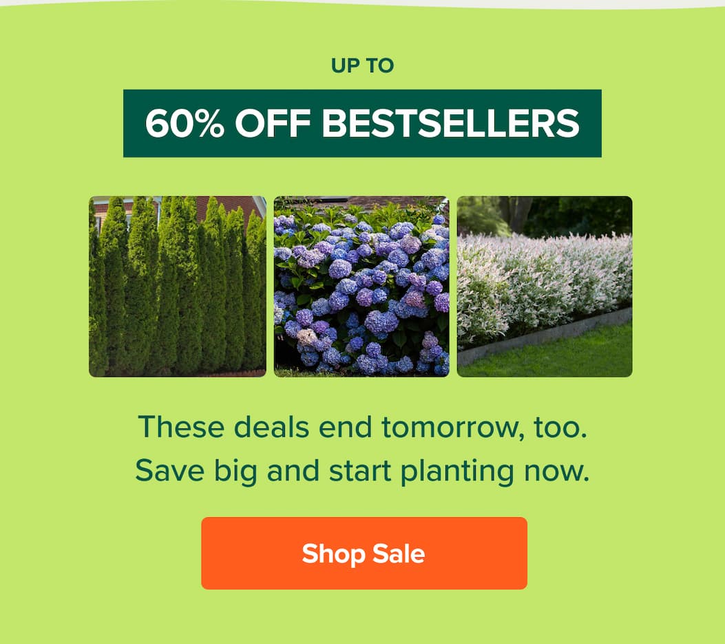 UP TO 60% OFF BESTSELLERS. SHOP SALE>>