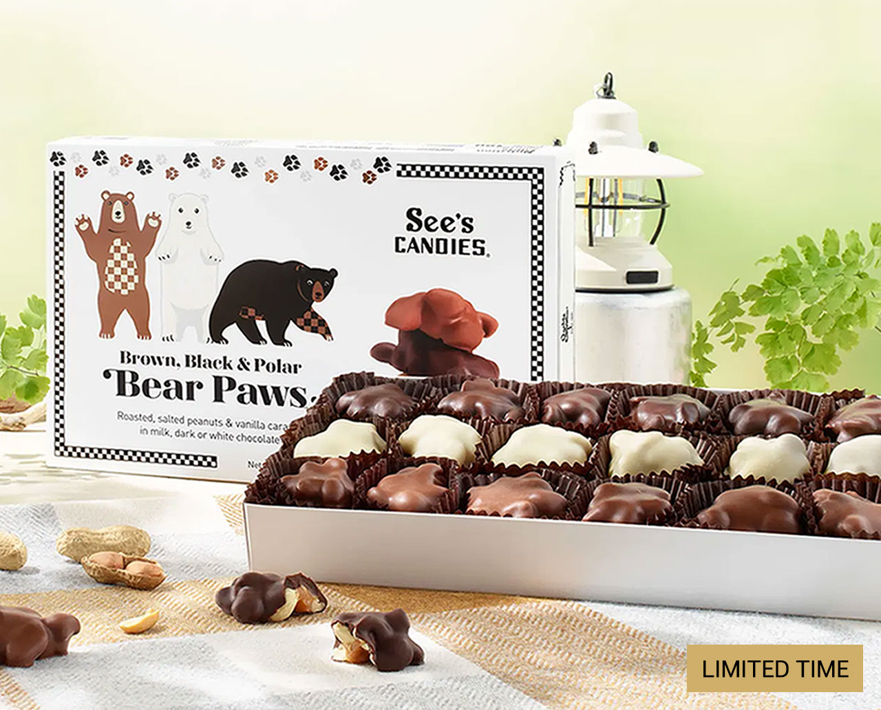 Limited Time: Black, Brown and Polar Bear Paws&reg;