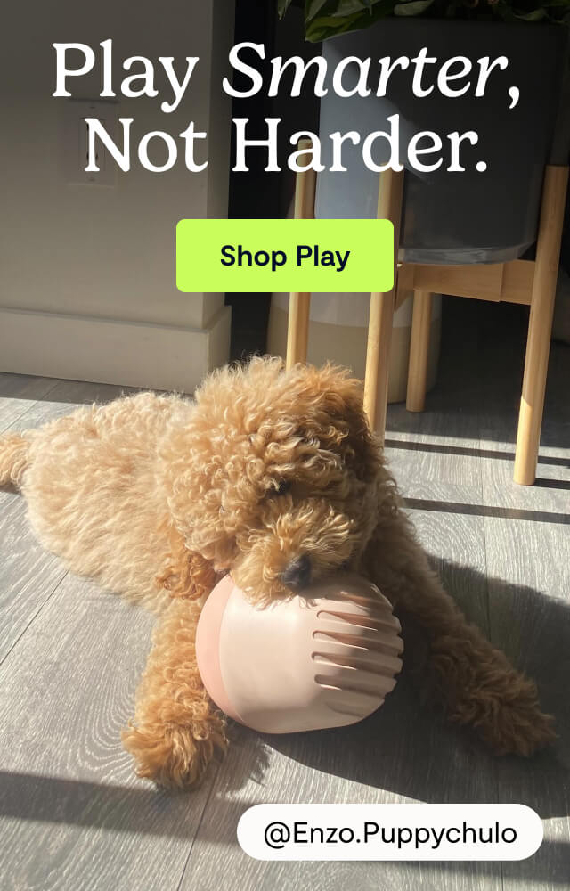 Play Smarter, Not Harder.