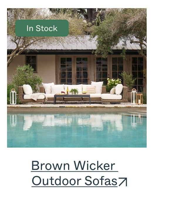 Brown Wicker  Outdoor Sofas