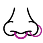 Nose