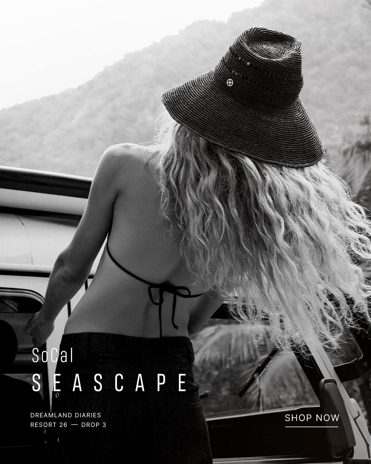 socal seascape