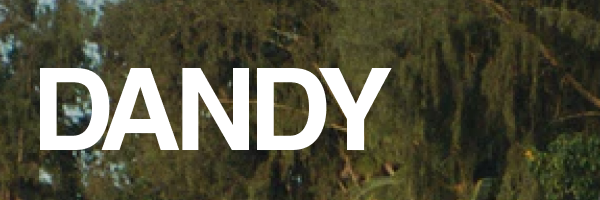 Dandy