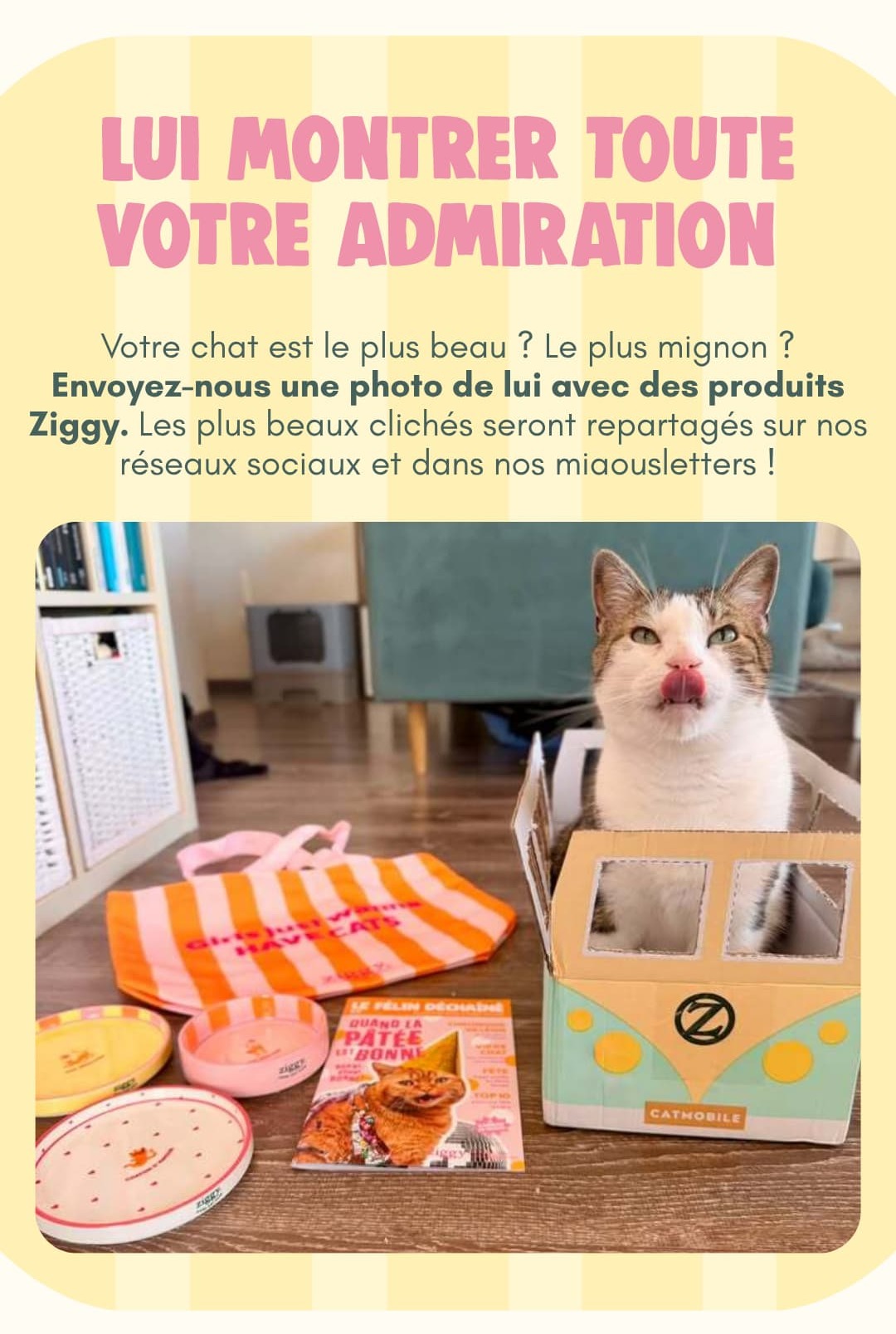 Faire de lui une star