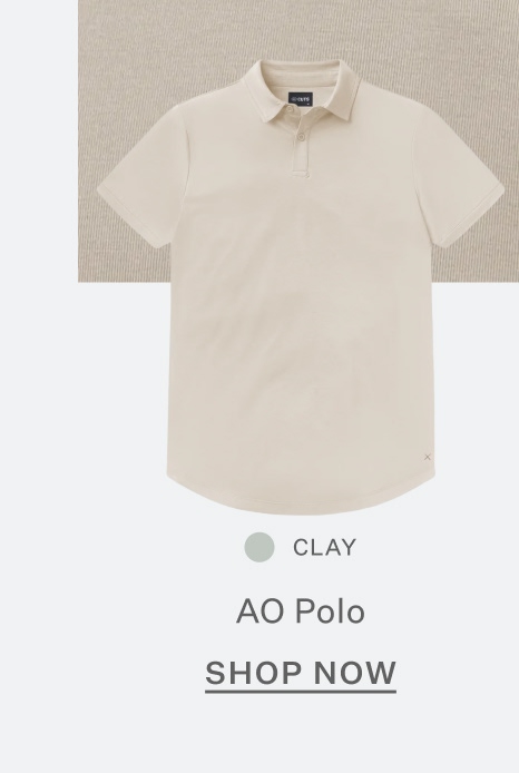AO Polo