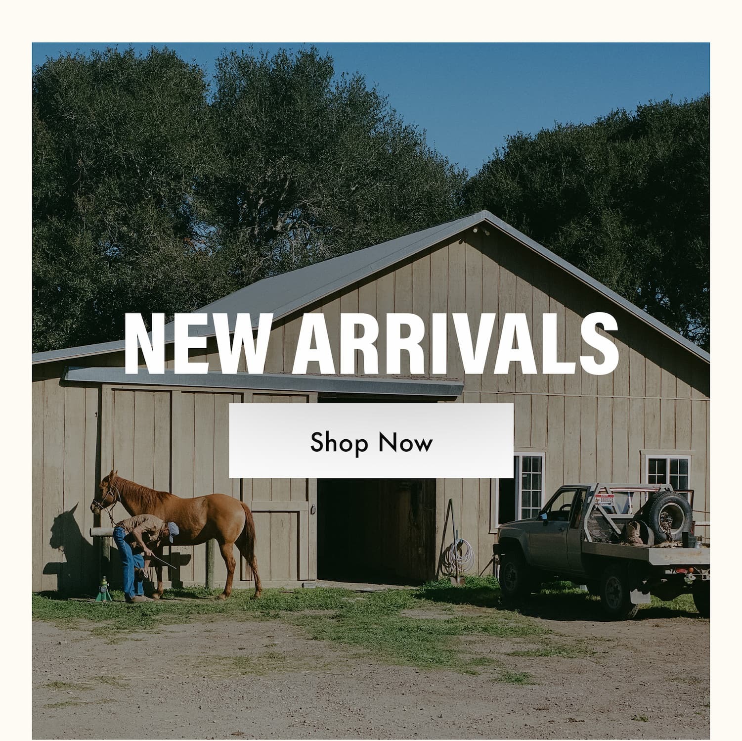 NEW ARRIVALS - Shop Now