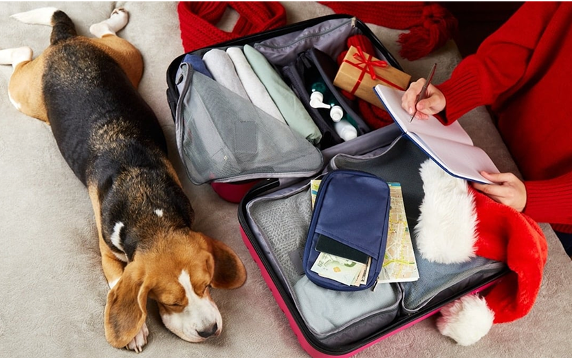 How To Get Ready for the Dog Sitter, from Pet Sitter Instructions to Packing