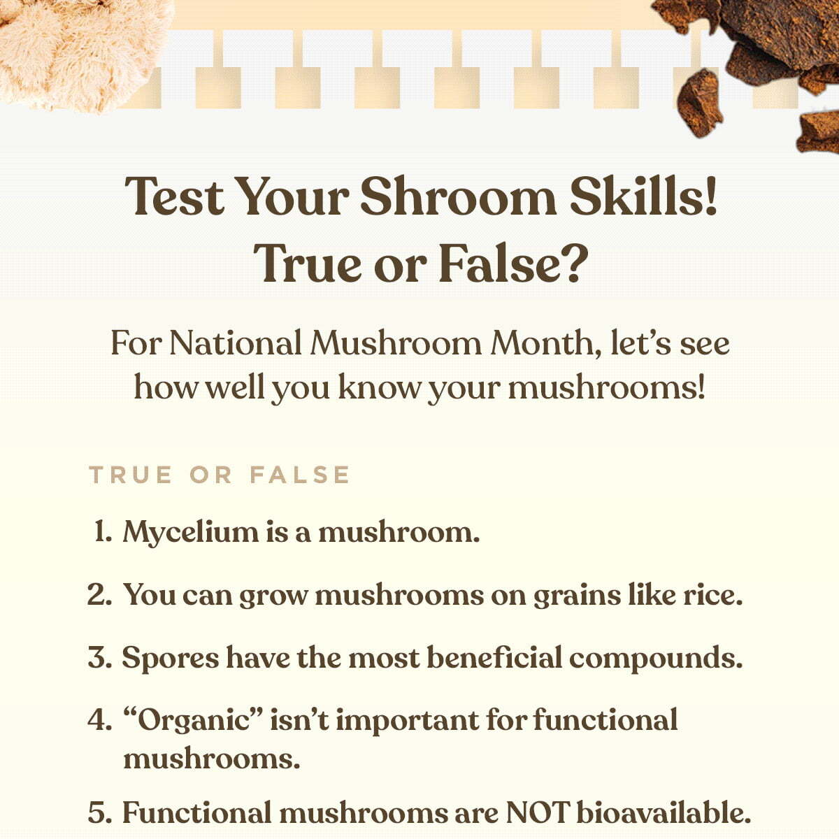 Test Your Shroom Skills! True or False?