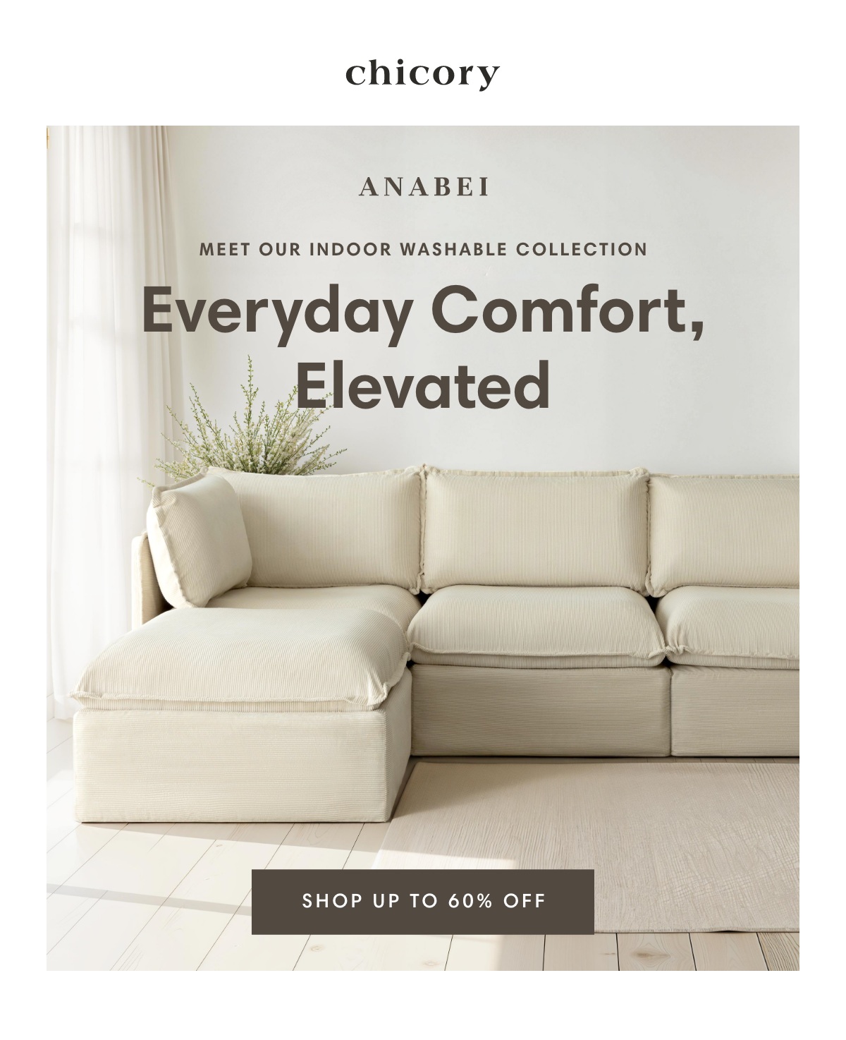 Meet Our Indoor Washable Collection
