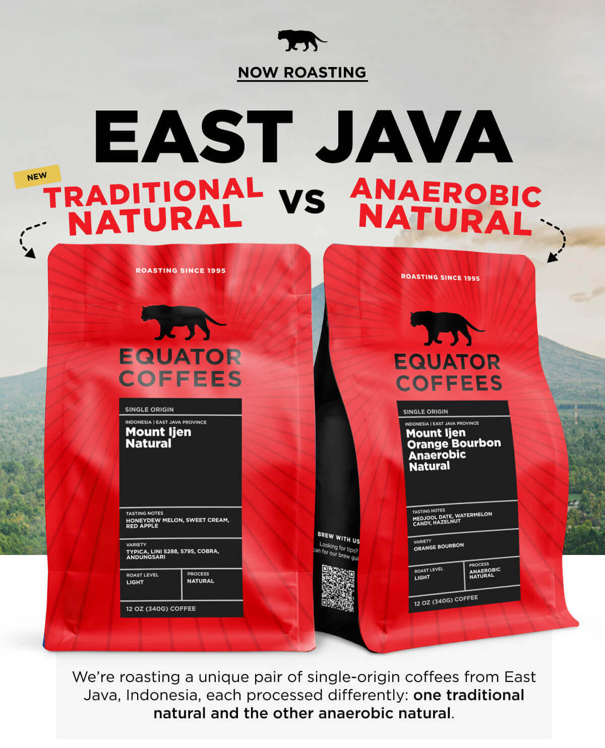 Now Roasting: East Java: Traditional Nautral vs Anaerobic Natural