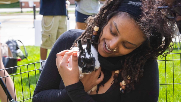 student cuddles a black and white bunny