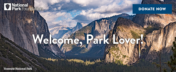Welcome, Park Lover!