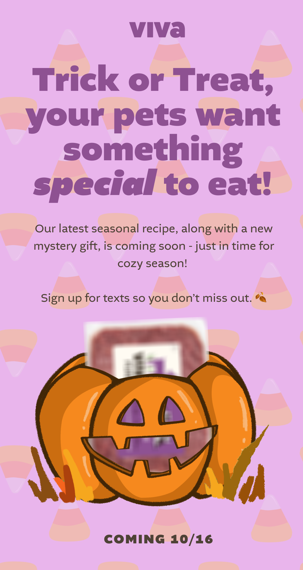 [ SIGN UP FOR TEXTS ]