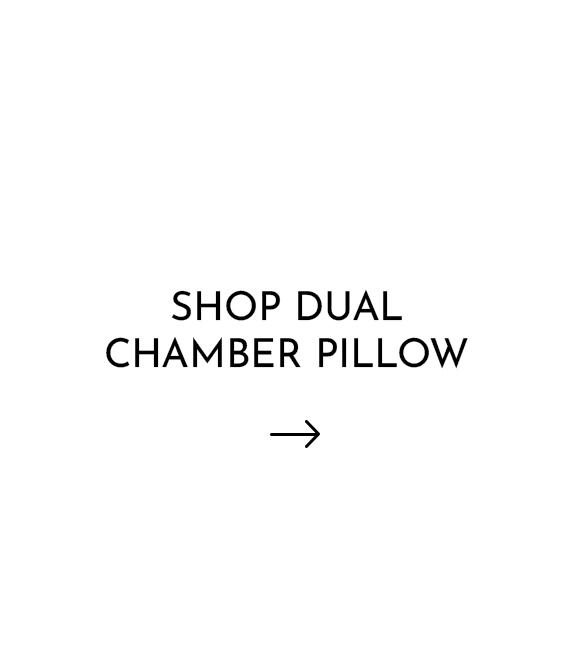 Shop Dual Chamber PIllow