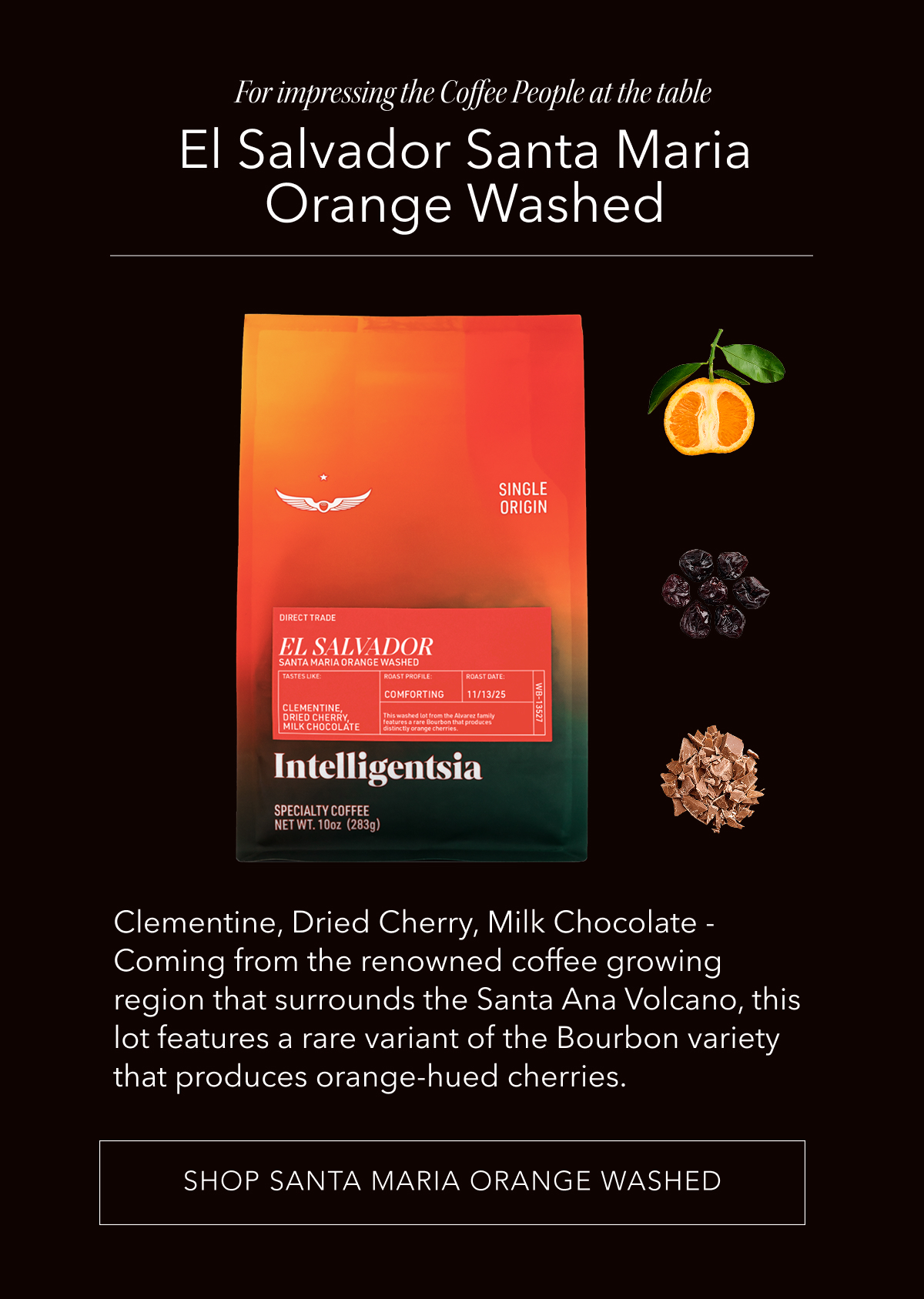 For impressing the Coffee People at the table: El Salvador Santa Maria Orange Washed. Clementine, Dried Cherry, Milk Chocolate - Coming from the renowned coffee growing region that surrounds the Santa Ana Volcano, this lot features a rare variant of the Bourbon variety that produces orange-hued cherries. | SHOP SANTA MARIA ORANGE WASHED