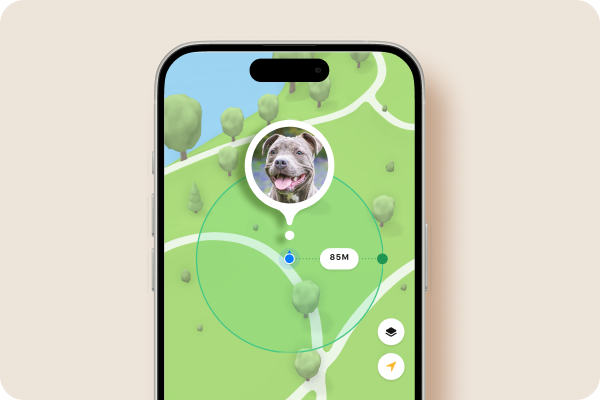 Geofence activation