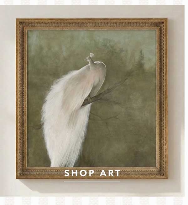 Shop Art
