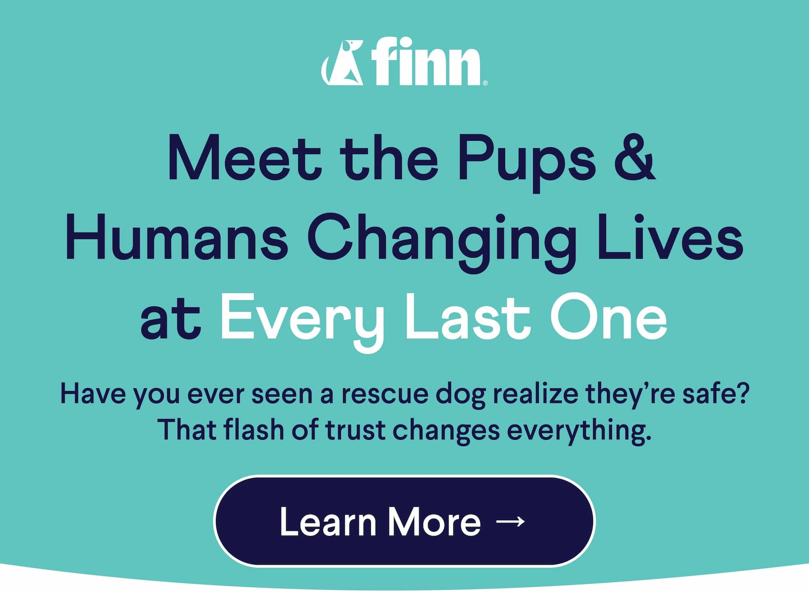 Meet the Pups & Humans Changing Lives at Every Last One Have you ever seen a rescue dog realize they’re safe? That flash of trust changes everything.  Learn More →