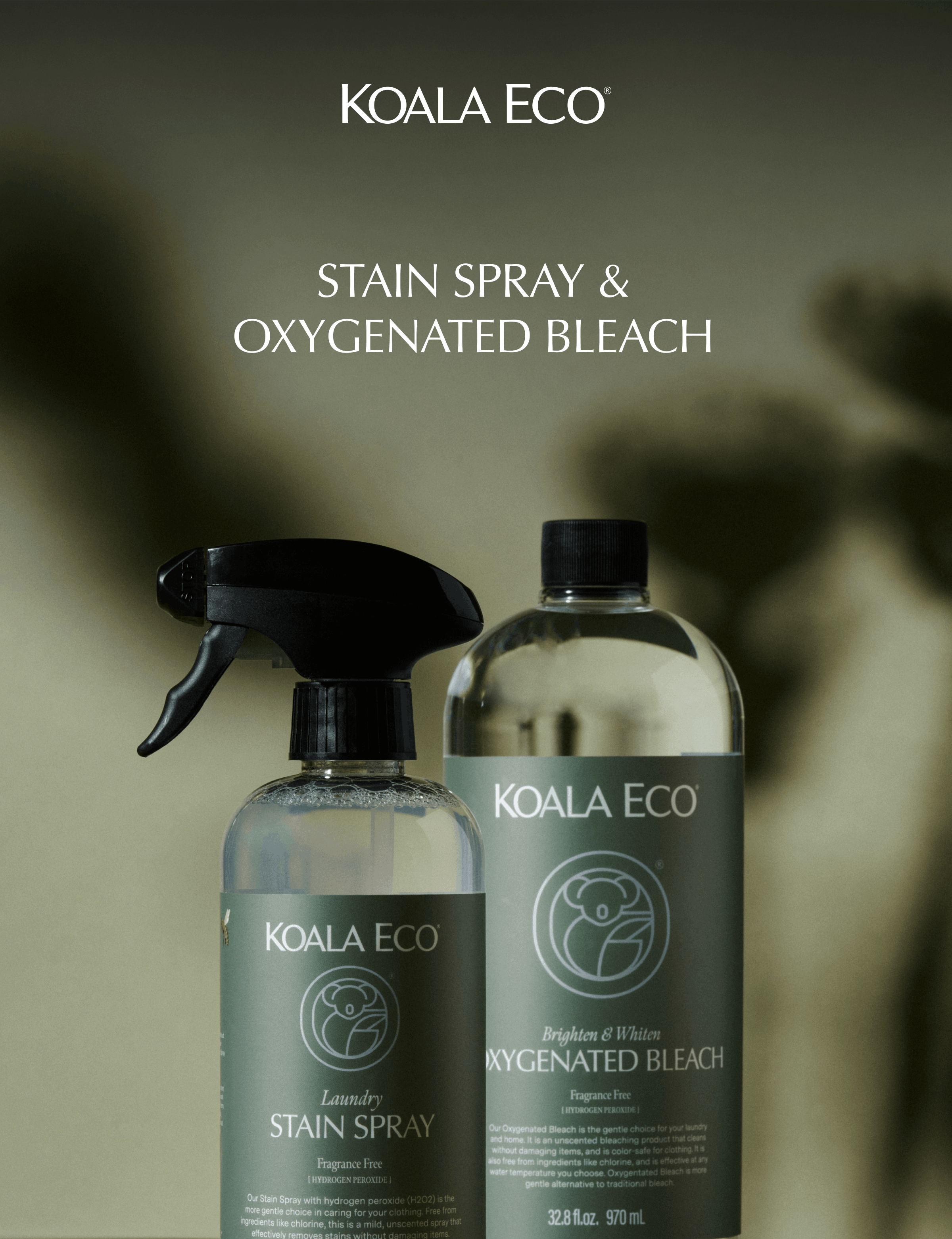Stain Spray & Oxygenated Bleach