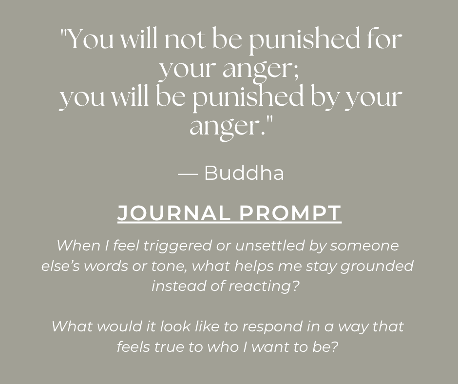 text box with a quote and journal prompt about passive-aggressive behavior