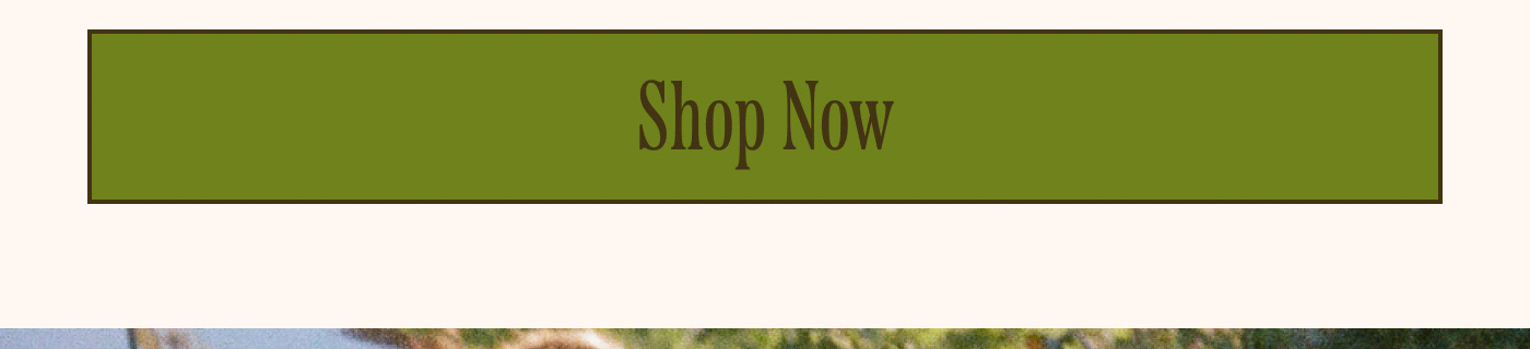 [Shop Now]