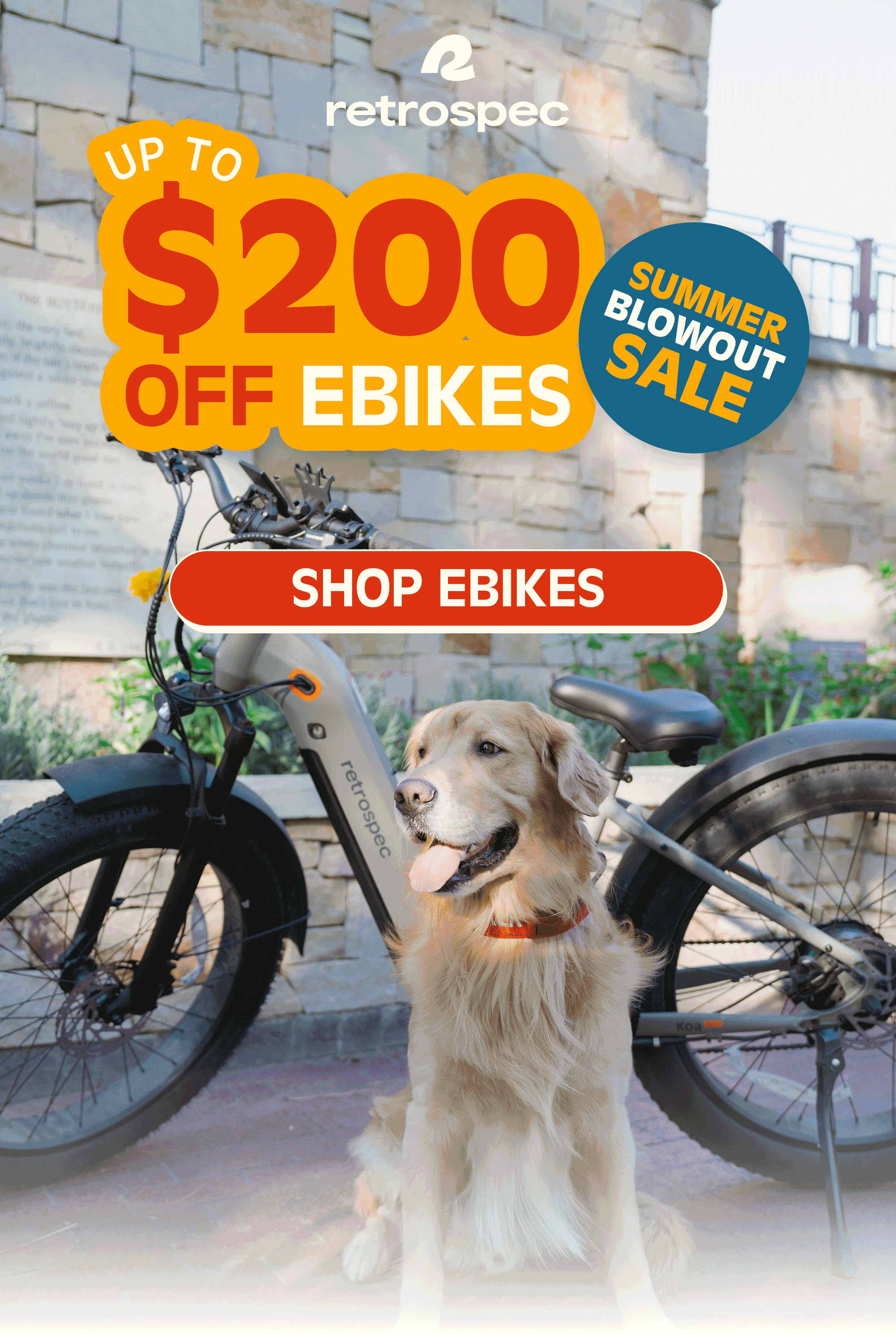 Shop The Sale