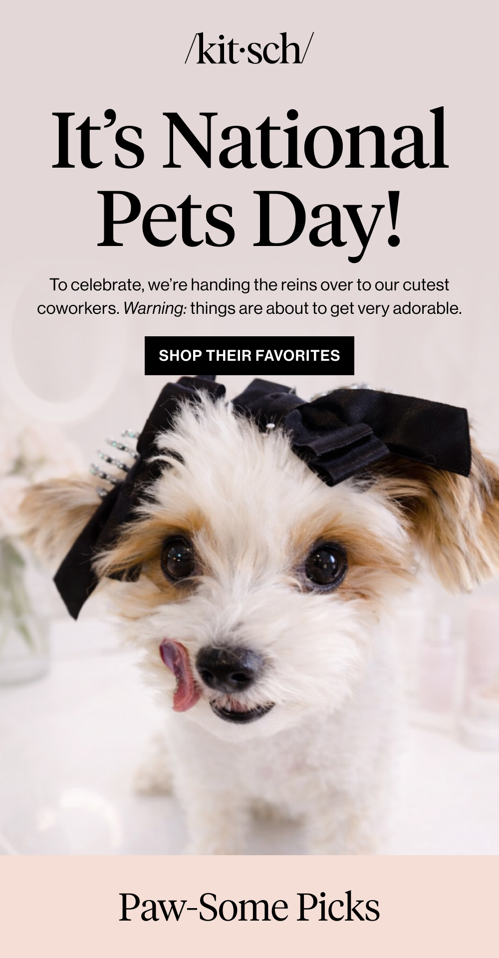 It’s National Pets Day! To celebrate, we’re handing the reins over to our cutest coworkers. Warning: things are about to get very adorable.Shop Their Favorites