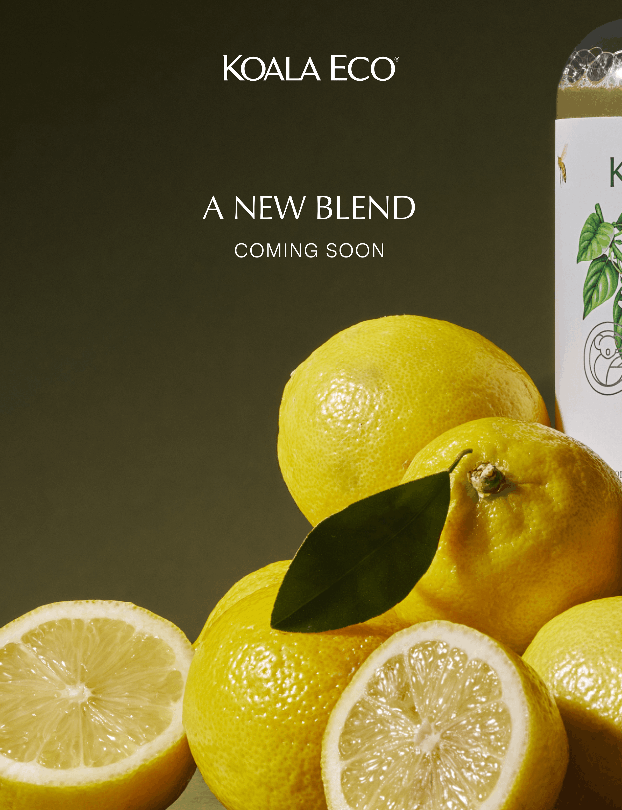 A New Blend - Coming Soon
