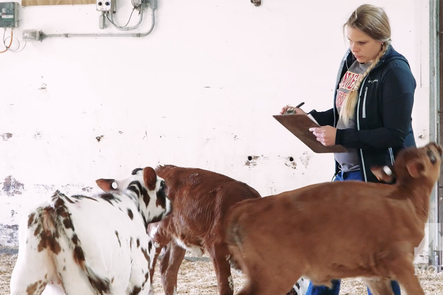 Kirsten Sharpe Moser writes notes on a clipboard with three calves below her in barn.