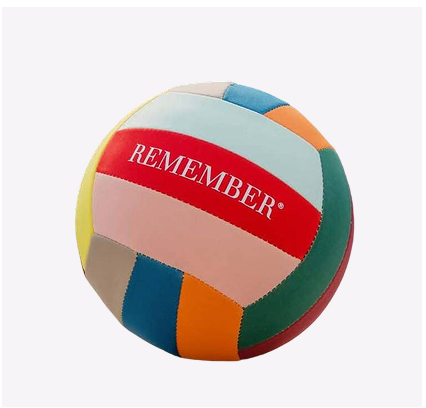 Outdoor Vibrant Sports Ball Neoprene Garden Beach Pool
