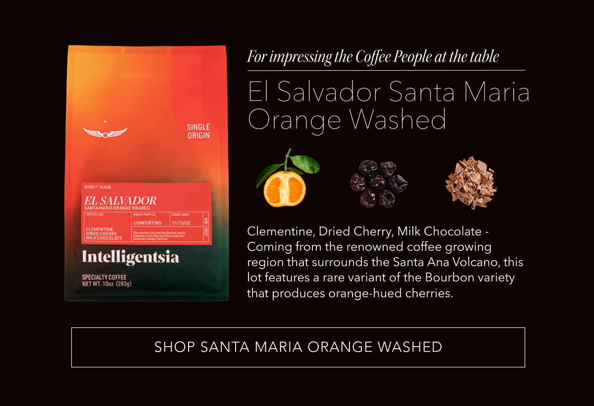 For impressing the Coffee People at the table: El Salvador Santa Maria Orange Washed. Clementine, Dried Cherry, Milk Chocolate - Coming from the renowned coffee growing region that surrounds the Santa Ana Volcano, this lot features a rare variant of the Bourbon variety that produces orange-hued cherries. | SHOP SANTA MARIA ORANGE WASHED