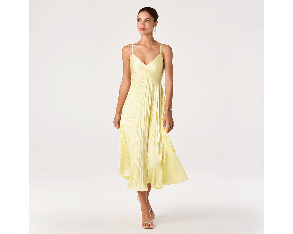 Woman Wearing Pleated Midi Dress